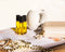 DIY Aromatherapy Luxury Set